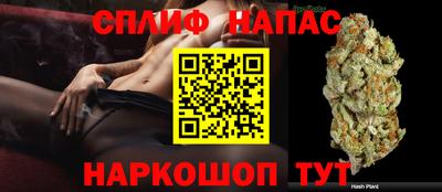 герыч Краснодар