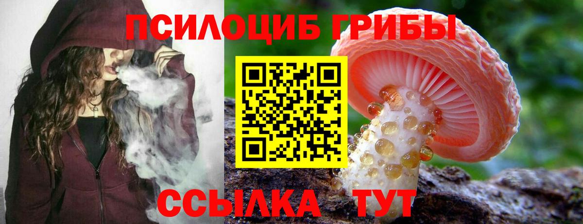 Алапаевск  Псилоцибиновые грибы мицелий  Галлюциногенные грибы ЛСД  где купить   Вход с VPN 