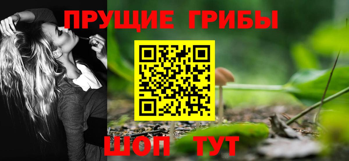 Галлюциногенные грибы Psilocybe Алапаевск